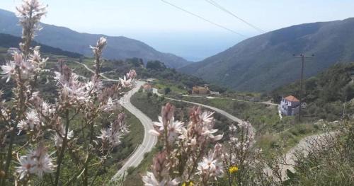 VILLA APHRODITE SOUGIA apt1