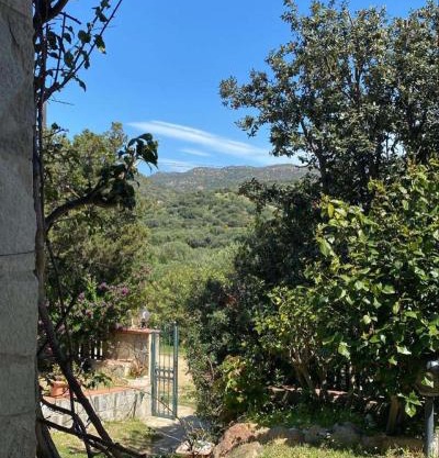 Villa azzurra tra le coste del sud
