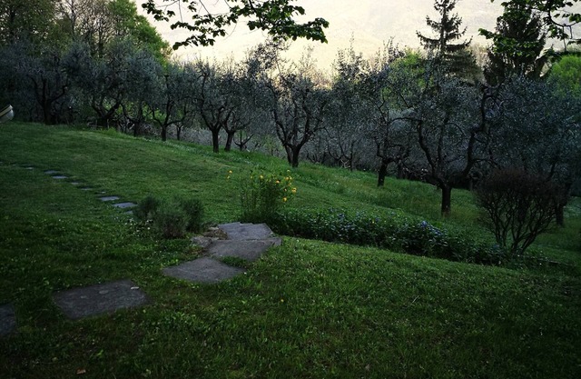 Villa bifamiliare panoramica in collina con grande giardino