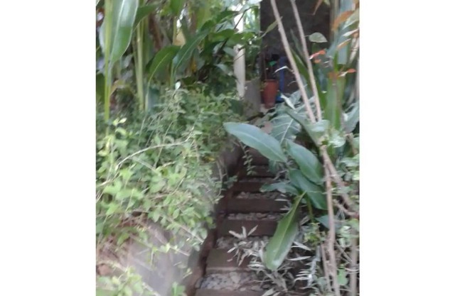Villa Bukit Lovina 2bedrooms 2 bathrooms+pool