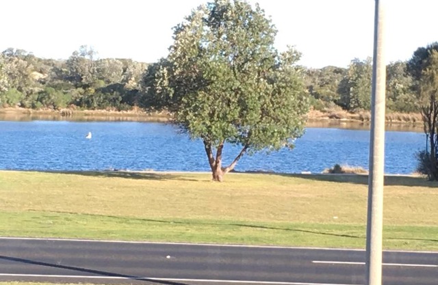 Villa by the Lake