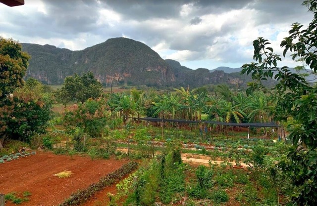 Villa Coco Solo