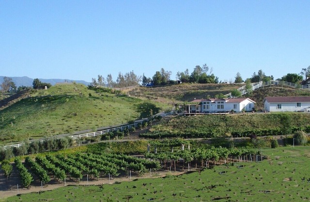 Villa CostaMonto Wine Country Estate