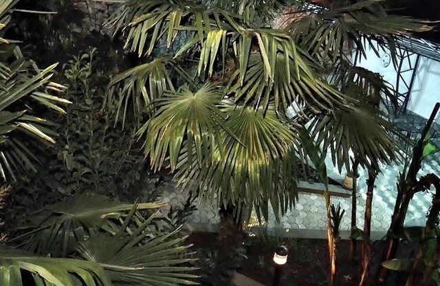 Villa Courtyard