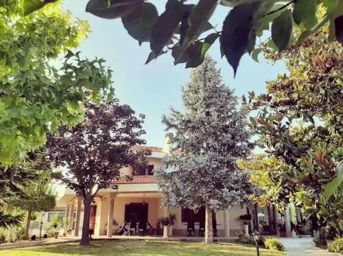 Villa Cycas