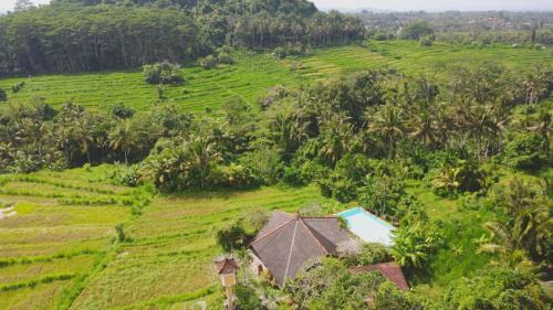 Villa Dandan Bukit