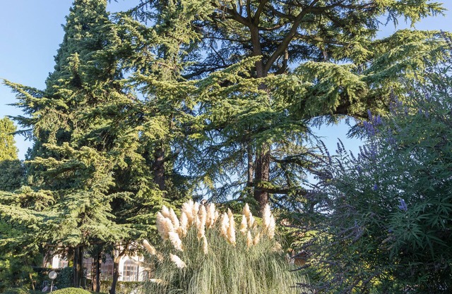 Cipreses Villa, cerca del lago de Garda, Verona y Gardaland