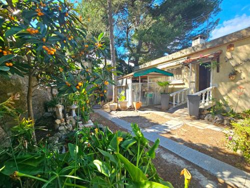 Villa des cèdres La Franqui