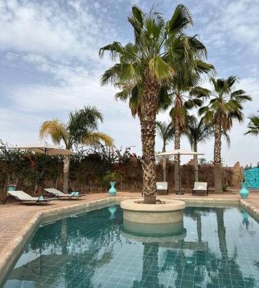 Villa des oliviers, piscine, Marrakech