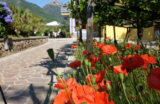 Villa Elisa