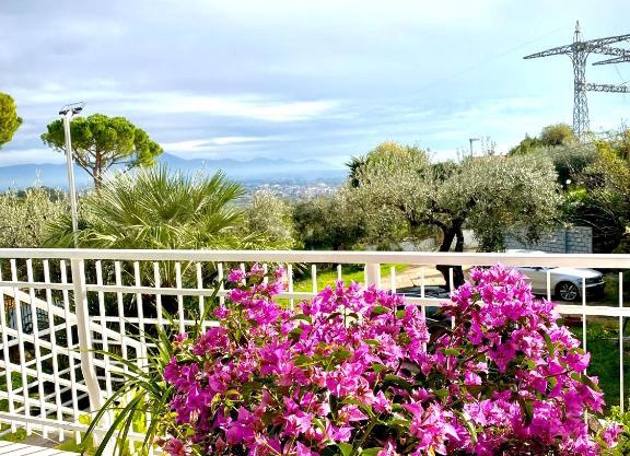 Villa Elisa