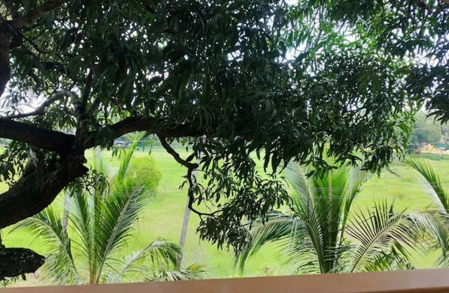Villa Emmanuel 1BHK Holiday home (1) nr beach,Goa