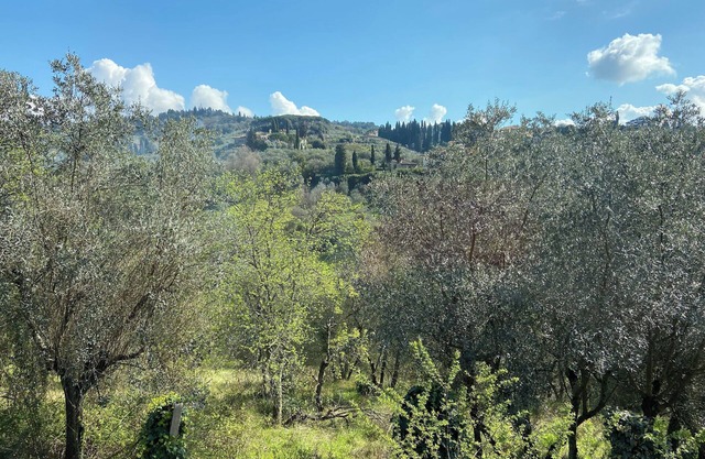Villa Gallorosso - Double room with single beds
