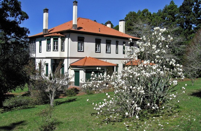 Escapada de villa en Santo António da Serra