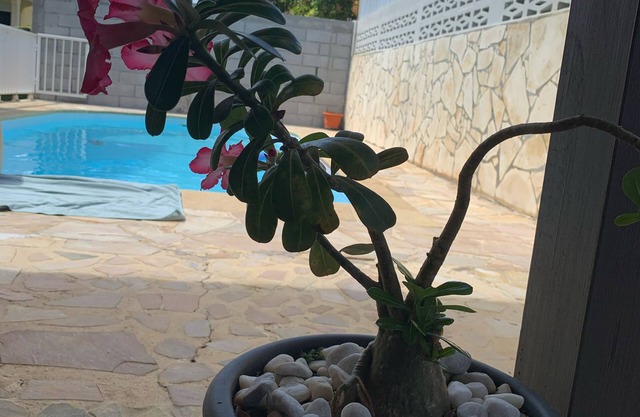 Villa ILOZA en el corazón de Martinica