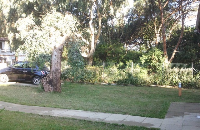 Villa in pine forest with garden 150 mt. from the sea