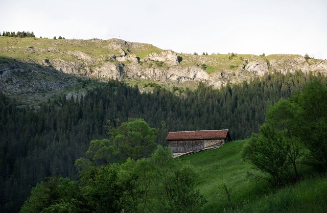 Villa in the heart of the mountain next to the forest!