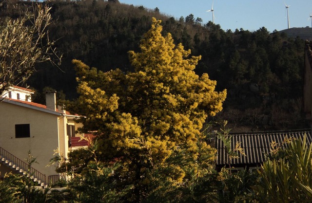 VILLA EN EL CORAZÓN DE LA MONTAÑA EN UN PEQUEÑO PUEBLO AUTÉNTICO