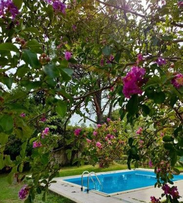 Villa indépendante avec piscine au rdc