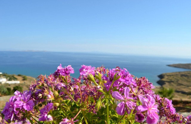 Villa Ioanna Greengrey- Vacation Houses for Rent Close to the Beach