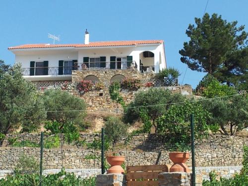 Villa Irene