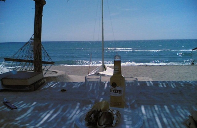 Villa En Pineta Di Roccamare Con Playa Privada
