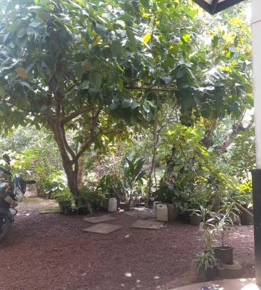 Villa Kosgoda