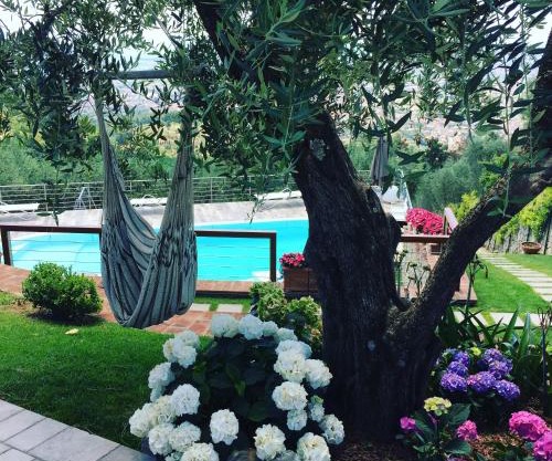 Villa l'Uliveta