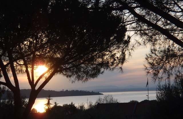 Villa Larry en San Feliciano sul Trasimeno con jardín y olivar