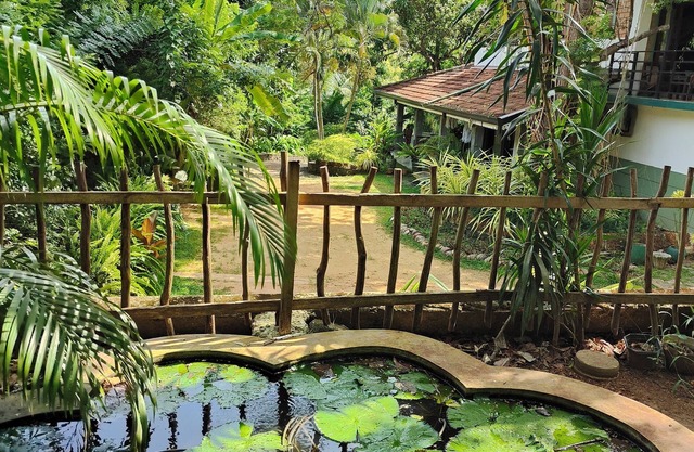 Villa Lyvie ayurvedic hotel