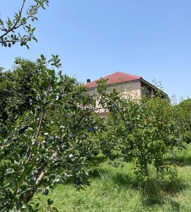 Villa Mance