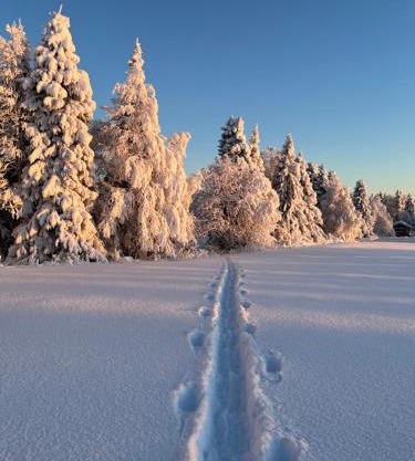 Villa Metsälä