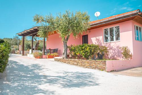 Villa Mimosa ad Alghero a 2km dalla spiaggia per 6 persone