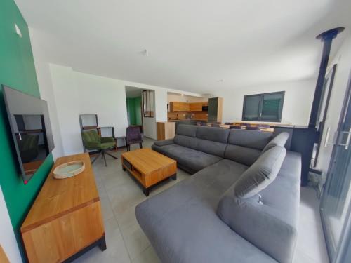 Villa moderne et spacieuse aux Rousses, proche ski, jusqu'à 12 pers. - FR-1-834-6