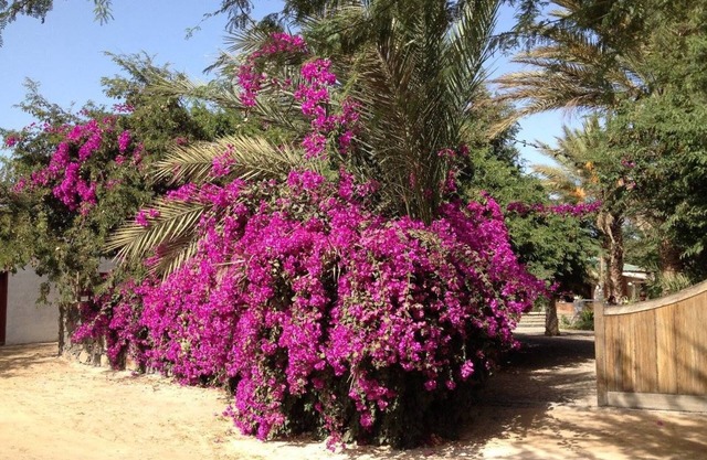Villa Morabeza Guest House