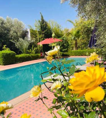 Villa MSHolidays 3 palmiers avec piscine marrakech