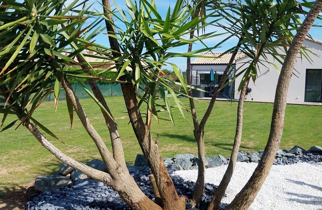 Villa/new house 8 p. SPA & SAUNA private 2 kms from the beach, marshes, forests
