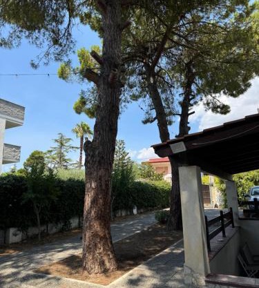 Villa Nina