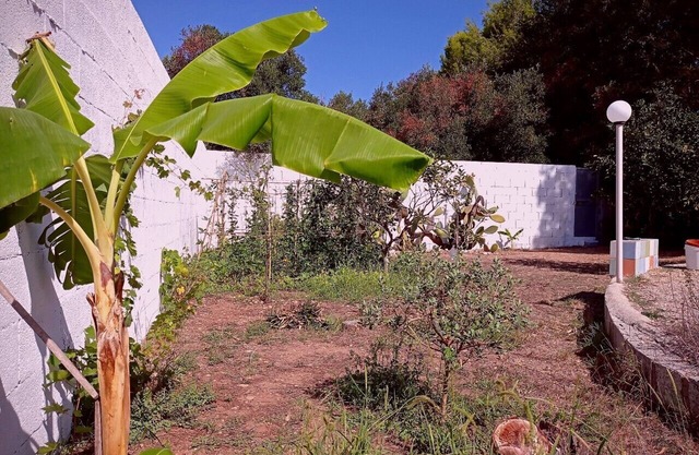 Villa "Oasi" en Roca Vecchia, casa unifamiliar con gran jardín.