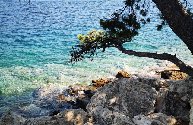 Villa on the heights of Dubrovnik private swimming pool Jacuzzi Sauna...