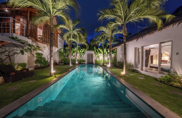 Villa Palm Tree