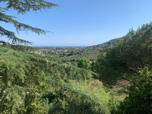 Villa Panorama