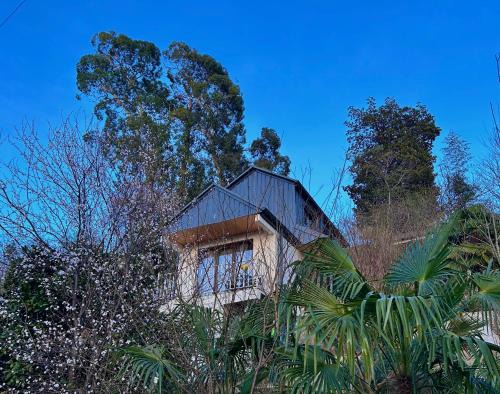 Villa Paradise