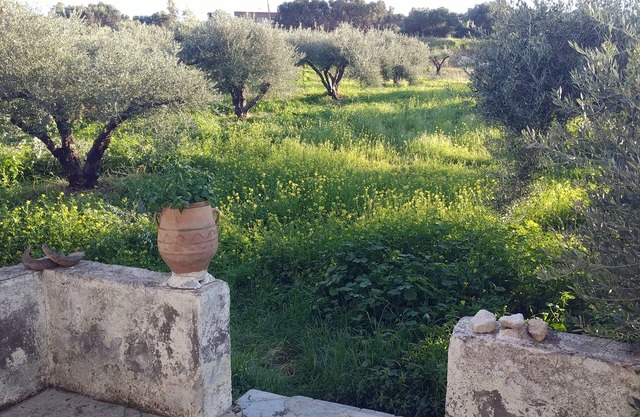 Villa Phyllia, a Property With History