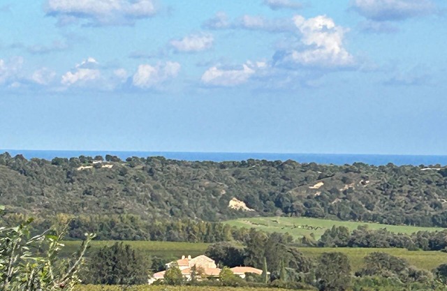 Villa, pool, fitness room on a vineyard 10 minutes from the sea