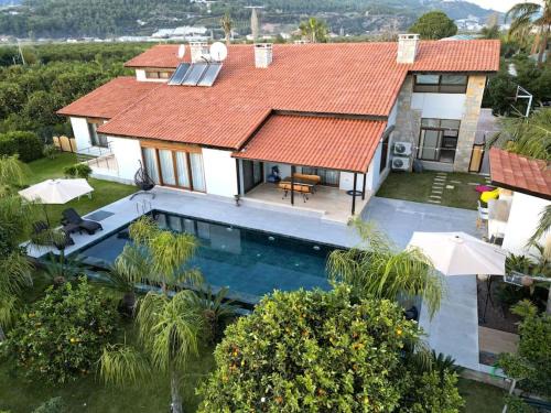 Villa Queen Palm