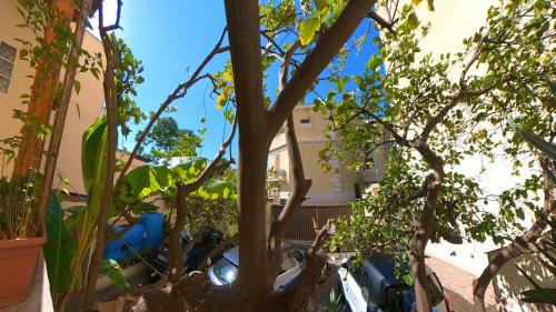 Villa Regina - Sylva