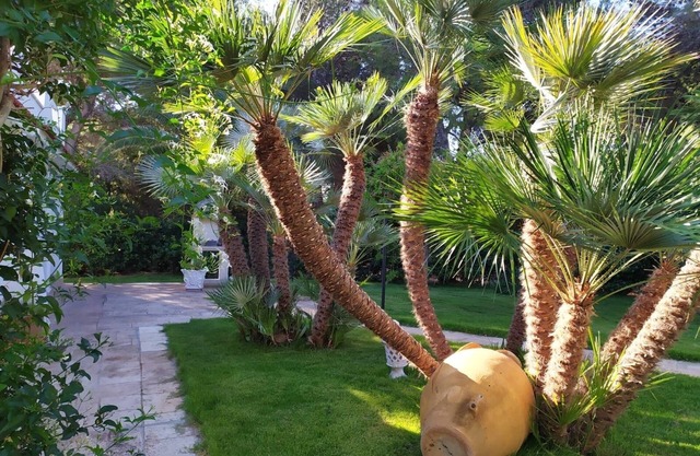 Villa Rosa Marina a 100 metros del mar