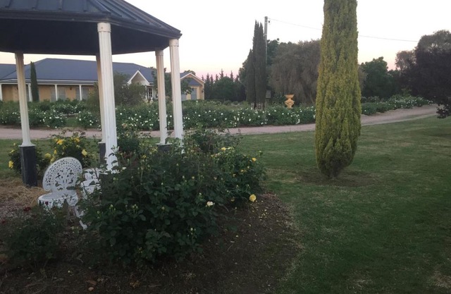 Villa Rose