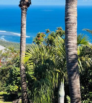 VILLA SAMAE - Vue Océan, Piscine, Jacuzzi & Charme Tropical à La Réunion